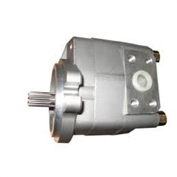 20800-79037 Komatsu Gear Pump Προέλευση Ιαπωνίας #2 image